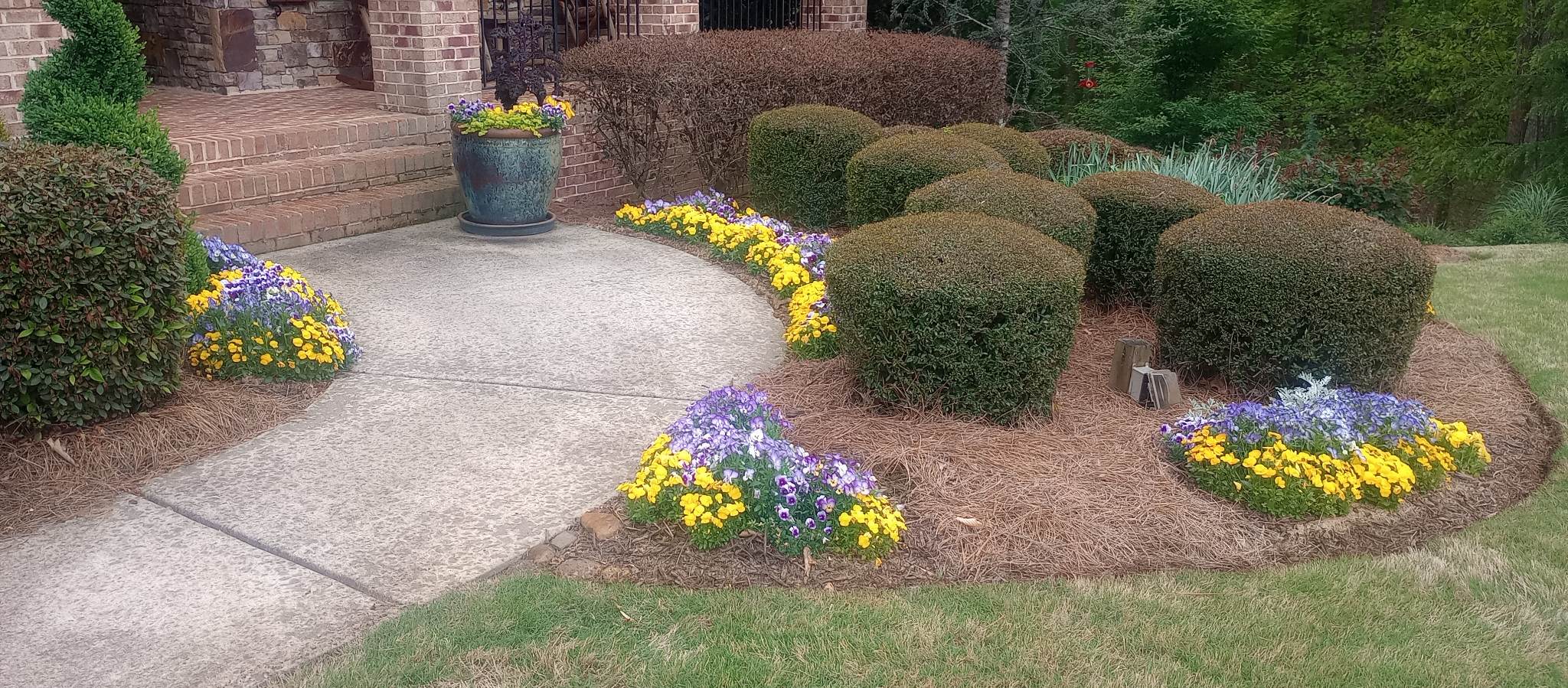 Design & Planting