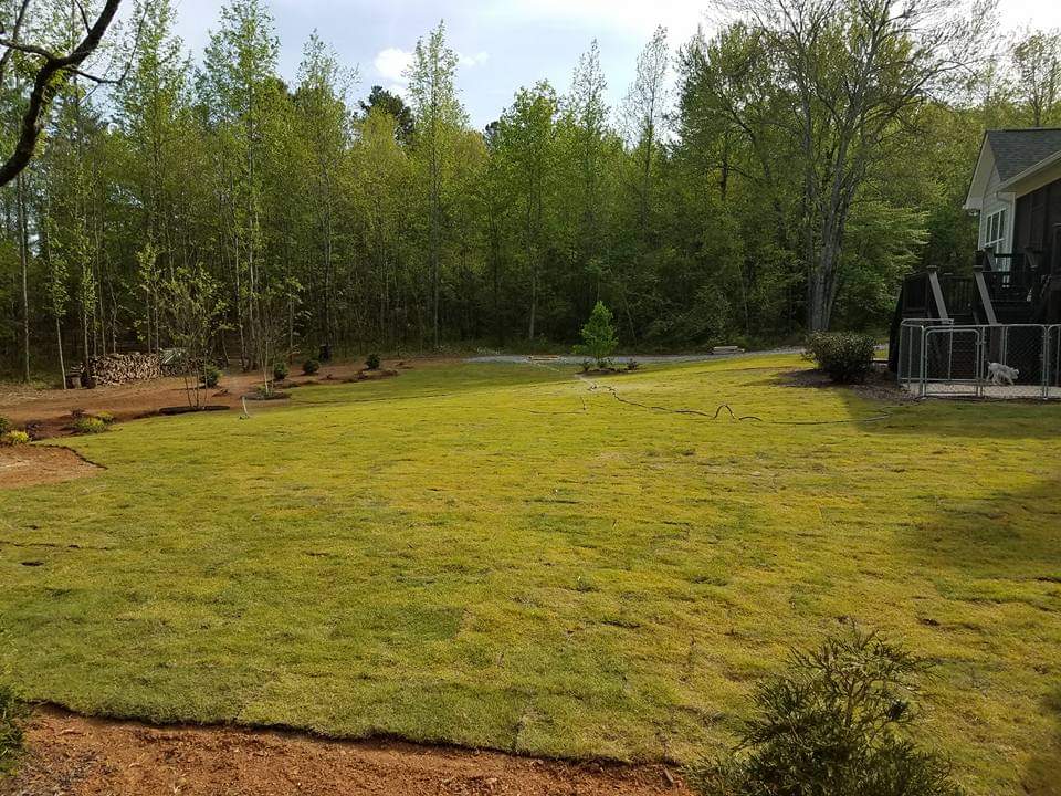 Lawn & Garden Care