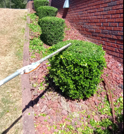 Trimming