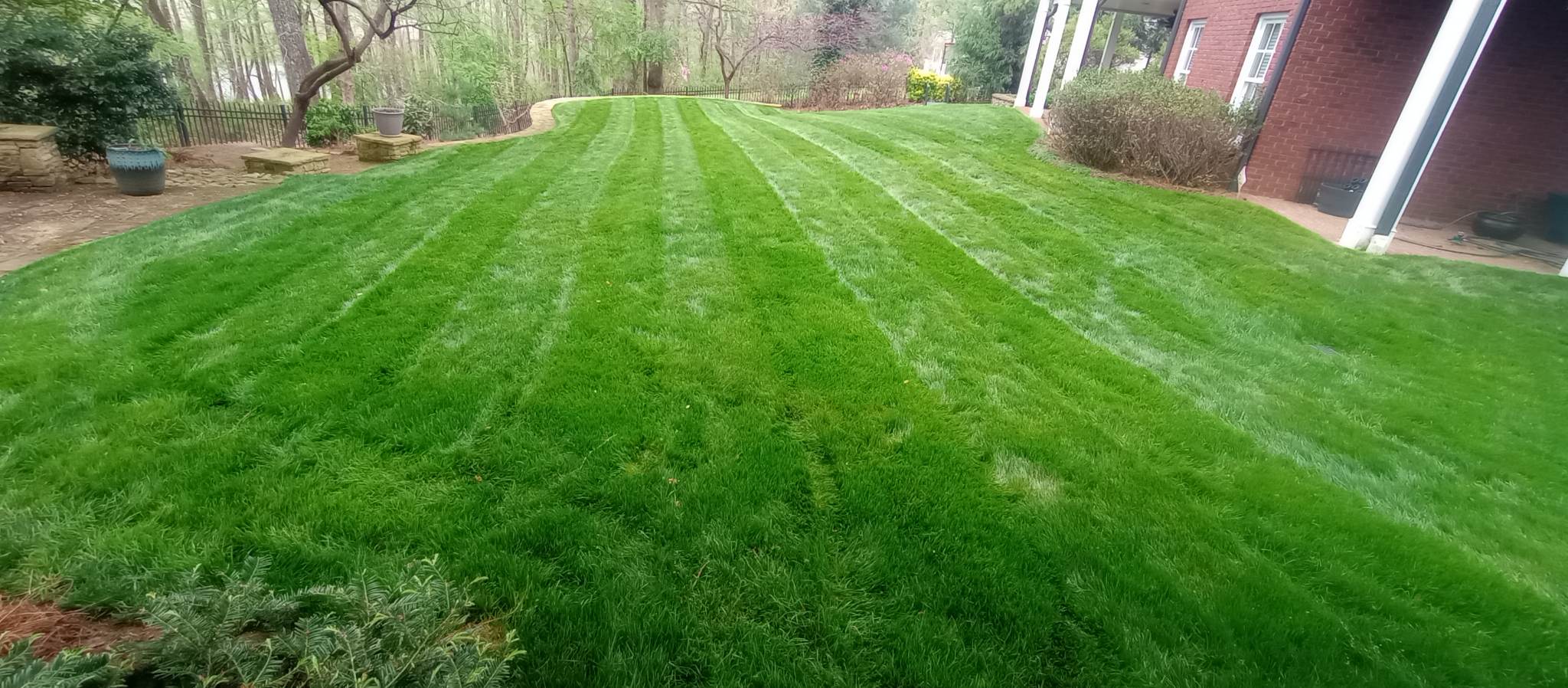 Lawn Mowing Service