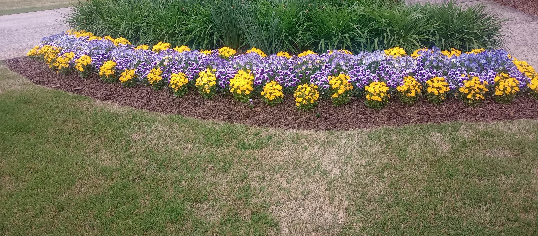 Flower Beds